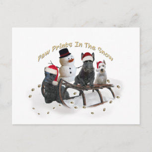 Carte Postale L'Ecosse Un Temps De Jeu