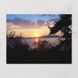 Carte Postale Lecteur Chuckanut