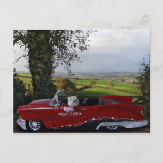Carte Postale Lecteur de pays