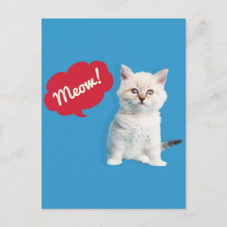 Carte Postale Légende Meow Cute Kitten