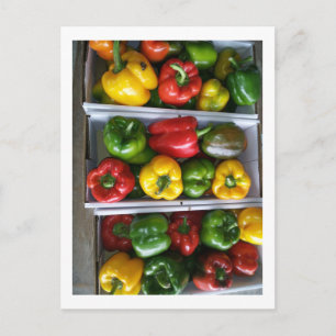 Carte Postale Légumes au marché Amish