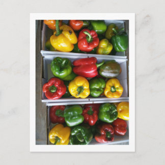 Carte Postale Légumes au marché Amish