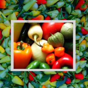 Carte Postale Légumes pour salsa, Tomate, Poivrons, Oignon