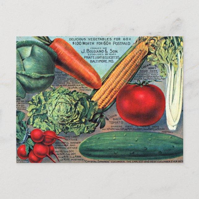 Carte Postale Légumes vintages (Devant)