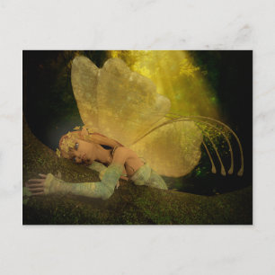 Carte Postale L'embellie