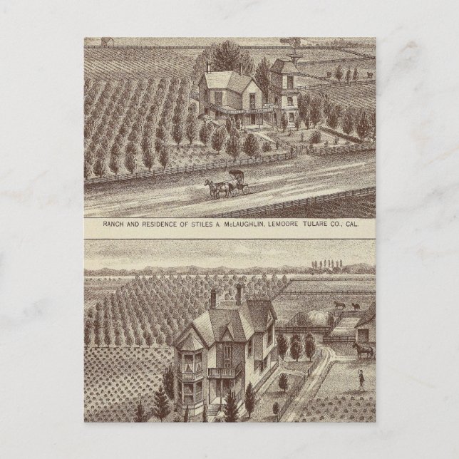 Carte Postale Lemoore, ranchs Armona (Devant)