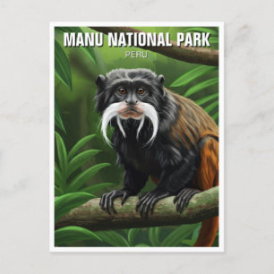 Carte Postale L'empereur Tamarin dans le Parc National de Manu P