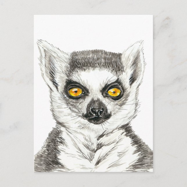 Carte Postale Lemur (Devant)