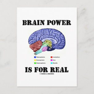 Carte Postale L'Énergie Cervicale Est Réelle (Attitude Anatomiqu