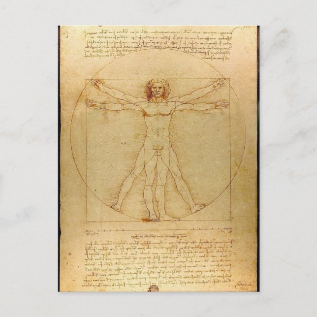 Carte Postale Leonardo Da Vinci - Vitruvian Homme Peinture (Devant)
