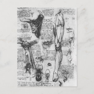 Carte Postale Leonardo Vinci - Études anatomiques (larynx et jam