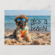 Leonberger Puppy portant des lunettes de soleil ca