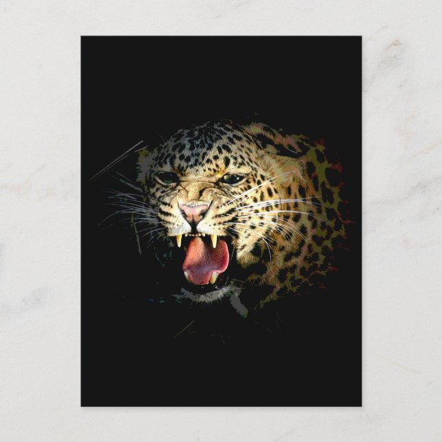 Carte Postale Leopard (Devant)