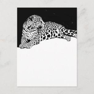 Carte Postale Leopard