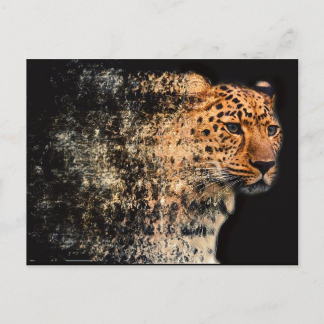 Carte Postale Leopard brisé (Devant)