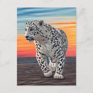 Carte Postale Léopard des neiges marchant sur la plage au couche