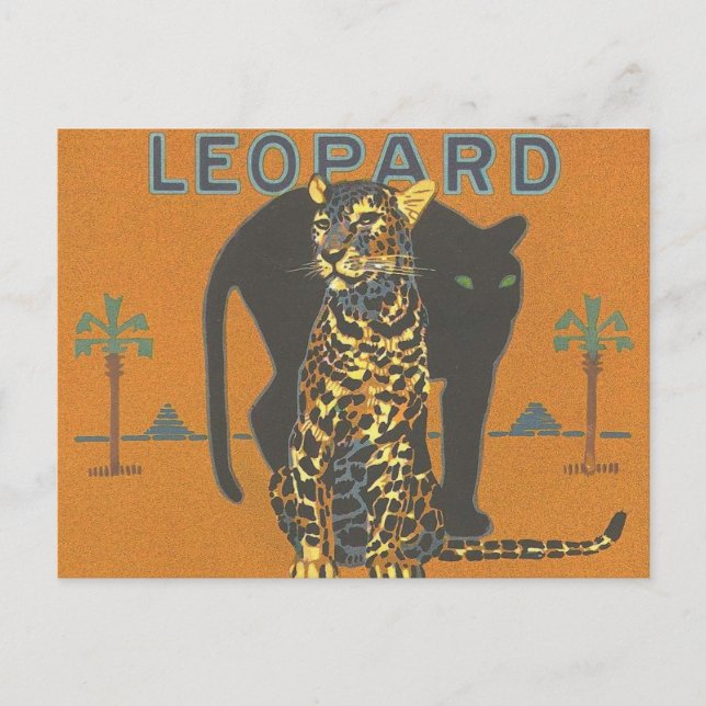 Carte Postale Leopard et Panther (Devant)