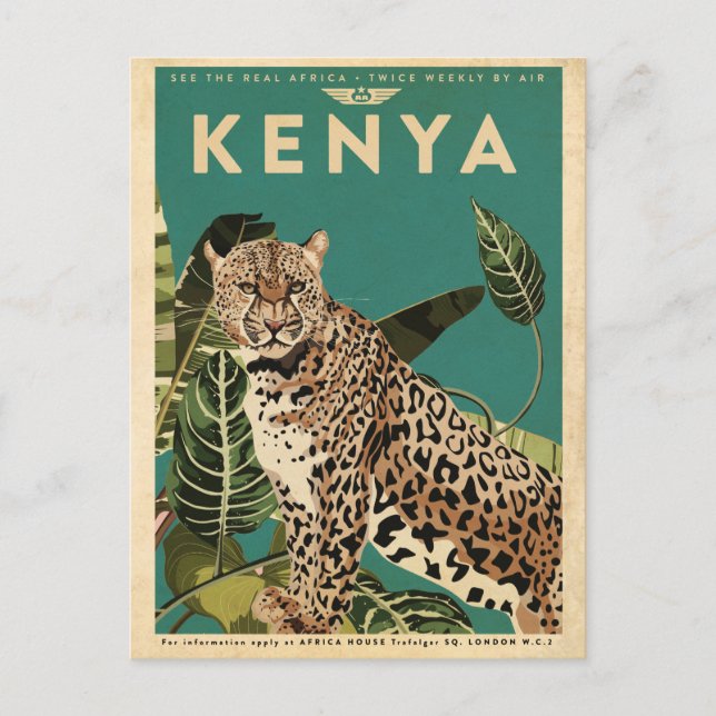 Carte Postale Leopard Kenya Travel (Devant)