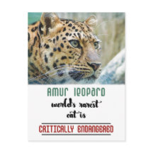 Leopard Protect the Wildlife citation