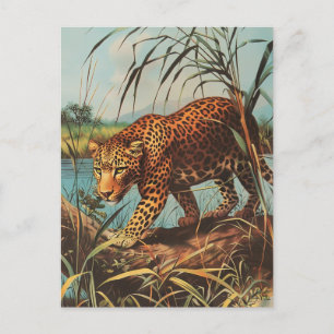 Carte Postale Leopard Vintage