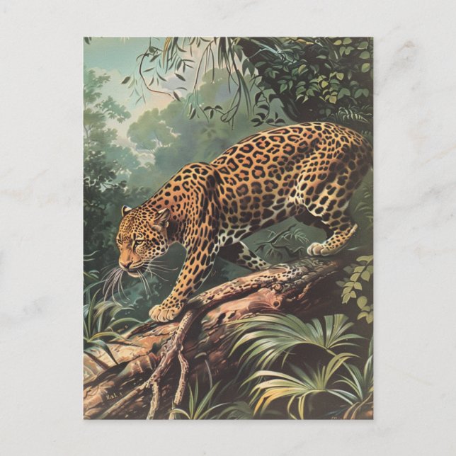 Carte Postale Leopard Vintage (Devant)