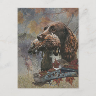 Carte Postale L'Epagneul Sprocker, Art de chien de chasse