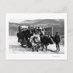 Carte Postale L'équipe de vache tire les hommes dans un escargot