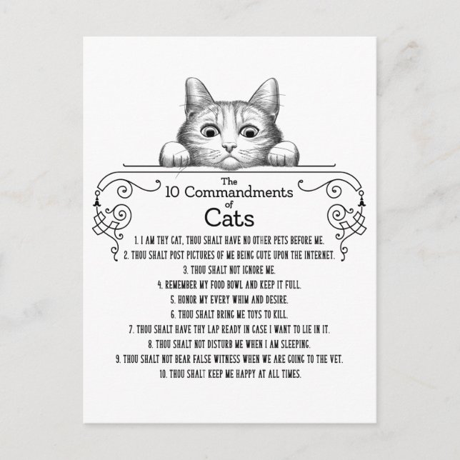 Carte Postale Les 10 commandements de chats amusants (Devant)