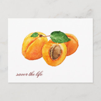 Carte Postale Les abricots d'été savourent l'aquarelle de vie