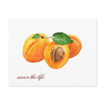 Les abricots d'été savourent l'aquarelle de vie