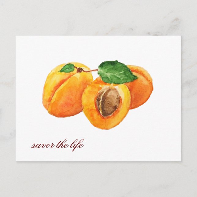 Carte Postale Les abricots d'été savourent l'aquarelle de vie (Devant)