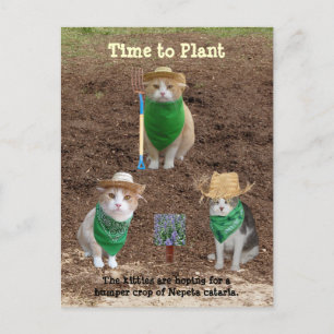 Carte Postale Les Agriculteurs Chats Plantent La Chimie.