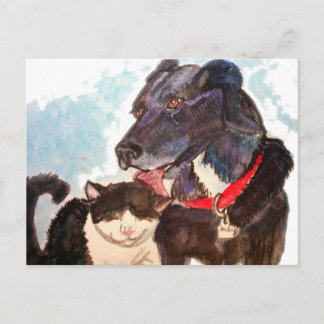 Carte Postale Les amis