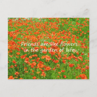 Carte Postale Les Amis Sont Comme Des Fleurs