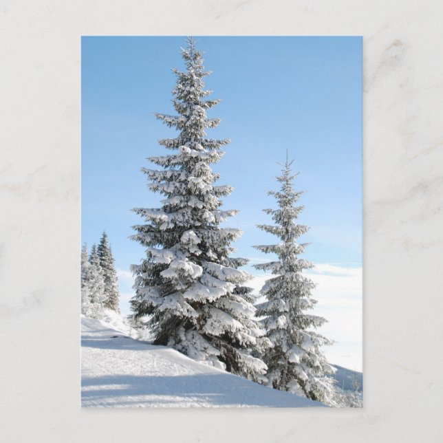 Carte Postale Les arbres à collines (Devant)