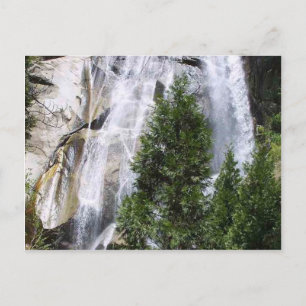 Carte Postale Les arbres des cascades