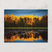 Les arbres jaunes au bord d'un lac