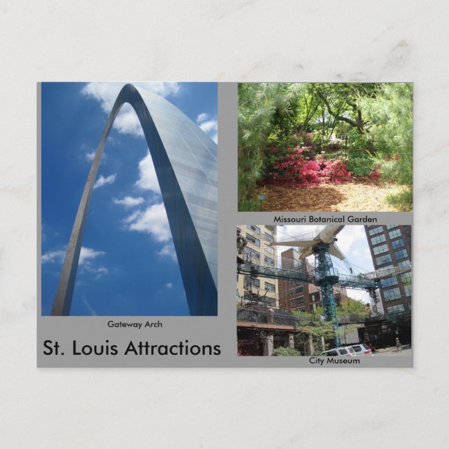 Carte Postale Les attractions de Saint-Louis (Devant)