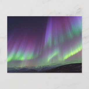 Carte Postale Les Aurores Boréales Nord de l'Islande