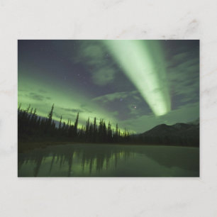 Carte Postale Les aurores boréales se reflètent dans l'étang de 
