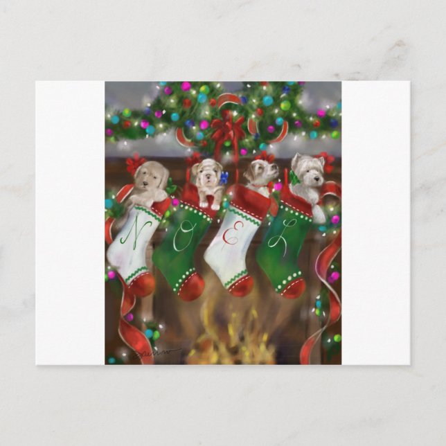 Carte Postale Les Bas Étaient Accrochés (Devant)