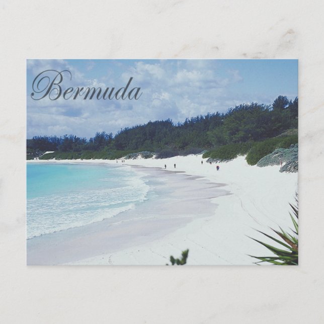 Carte Postale Les Bermudes (Devant)