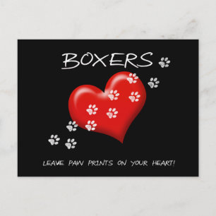 Carte Postale Les boîtes laissent des empreintes de pattes sur n