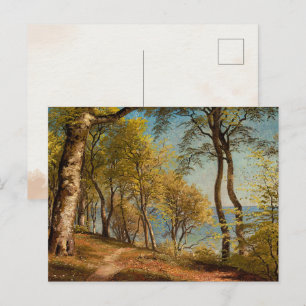 Carte Postale Les bouleaux sur une côte   Paysage vintage