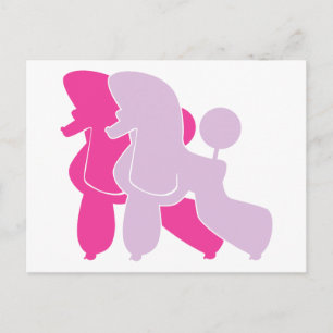 Carte Postale Les caniches roses