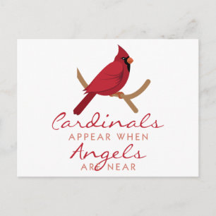 Carte Postale Les cardinaux apparaissent