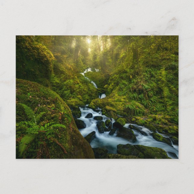 Carte Postale Les cascades | Parc National Olympique, Washington (Devant)