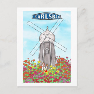 Carte Postale Les champs de fleurs de Carlsbad Californie