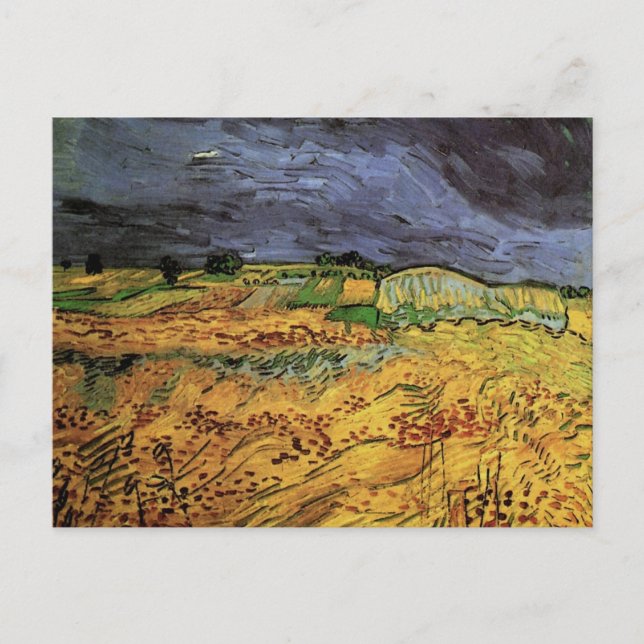 Carte Postale Les champs par Vincent van Gogh (Devant)