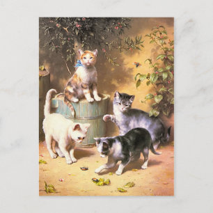 Carte postale : "Les chatons jouent avec les coléo